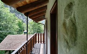 Casa Vacanze Volpe Rossa